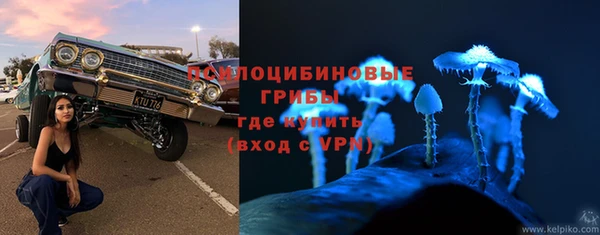 СК Белокуриха