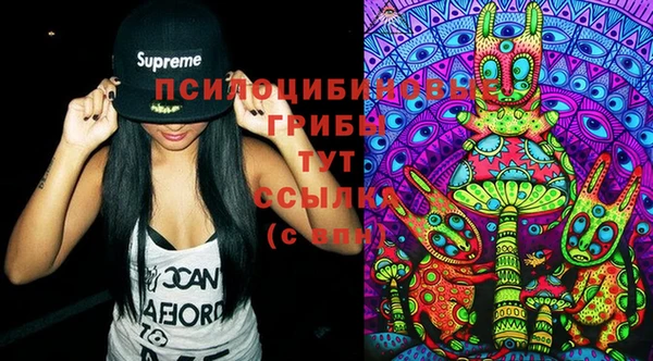 стафф Аркадак