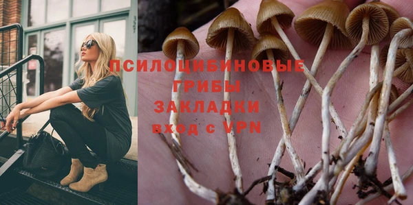 a pvp Белоозёрский