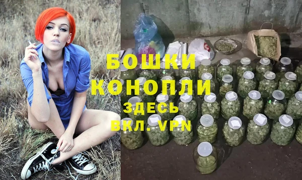 стафф Богородск