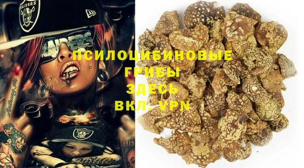 таблы Богданович