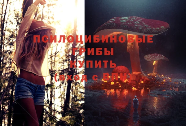 a pvp Белоозёрский