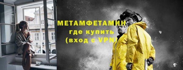 гидра Тында