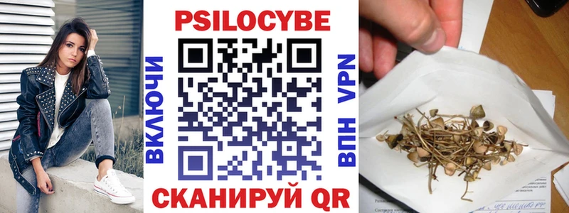 Галлюциногенные грибы GOLDEN TEACHER  даркнет сайт  Петропавловск-Камчатский 